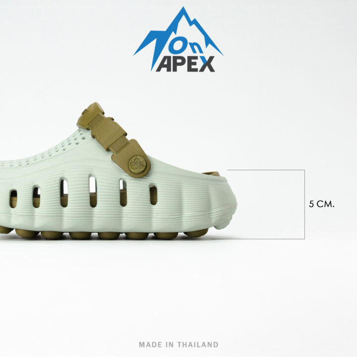 ONX1005