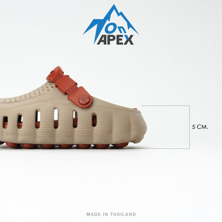 ONX1005